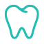 Dental Insurance icon